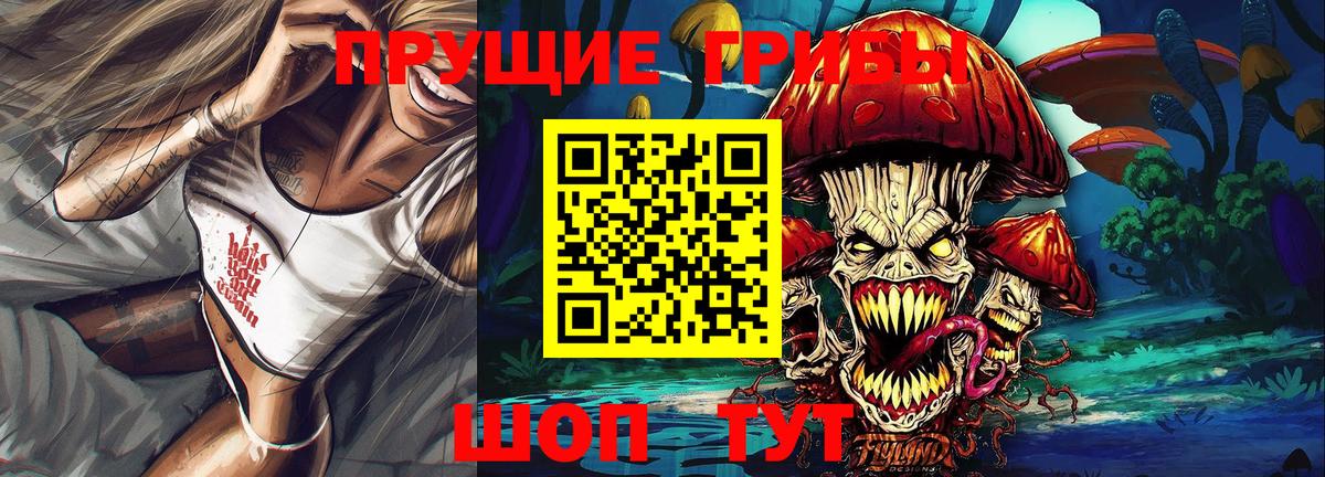 Балашиха  Галлюциногенные грибы Cubensis  где купить   Вход с VPN 